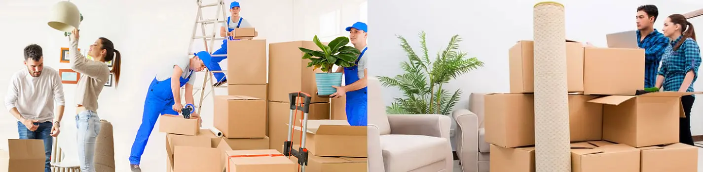 Banashankari Packers and Movers Bangalore to Delhi