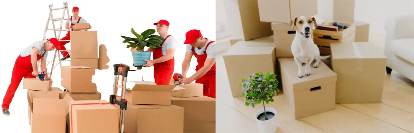 Banashankari Packers and Movers Bangalore to Asansol